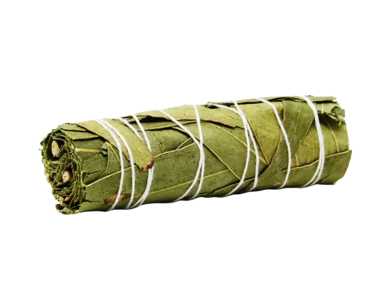 Eucalyptus Smoke Wand
