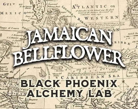 Jamaican Bellflower Perfume Oil