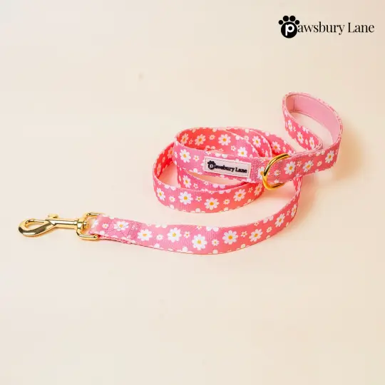 Daisy Blush - Leash