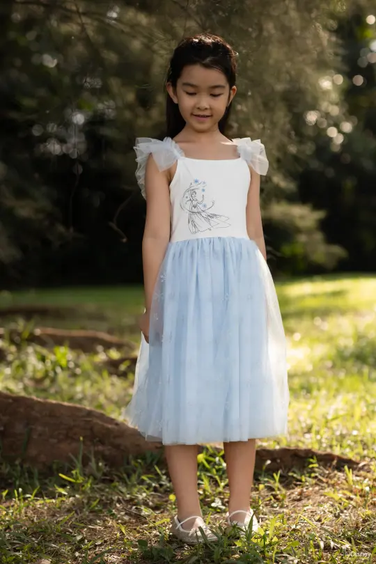 Colette Dress - Shimmer Elsa