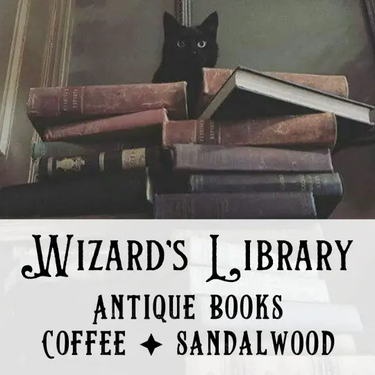 Wizard's Library