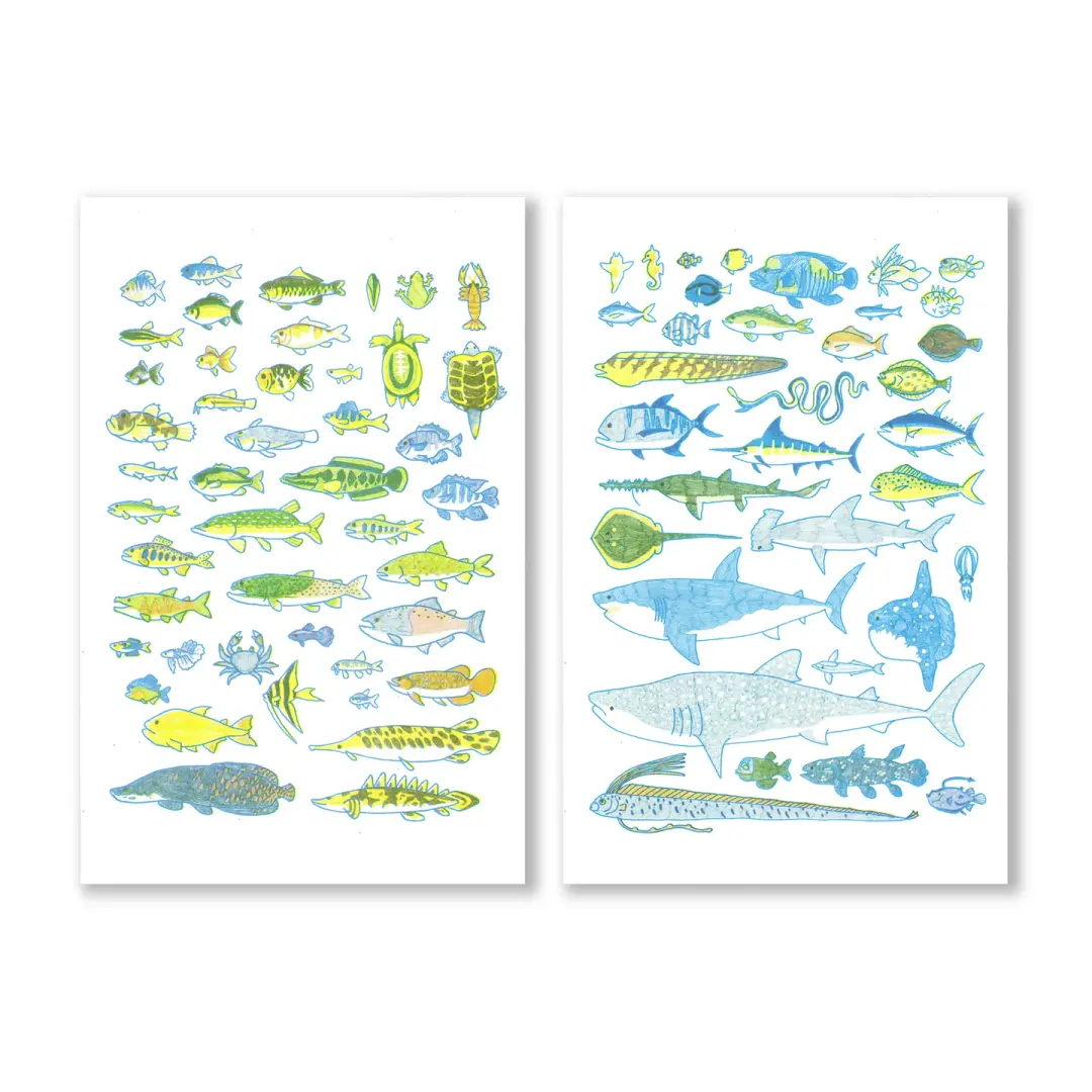 Fresh and Saltwater Fishes