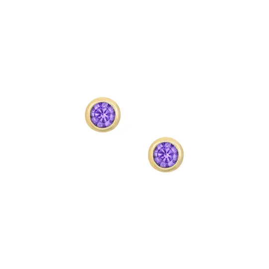 Elara Studs - Purple