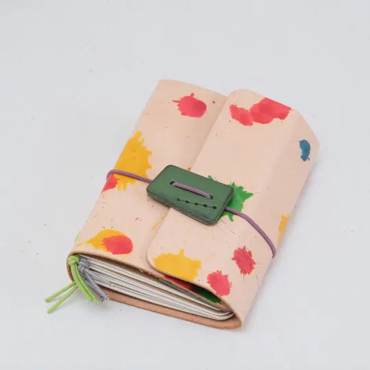 Passport Notebook Paint Series
