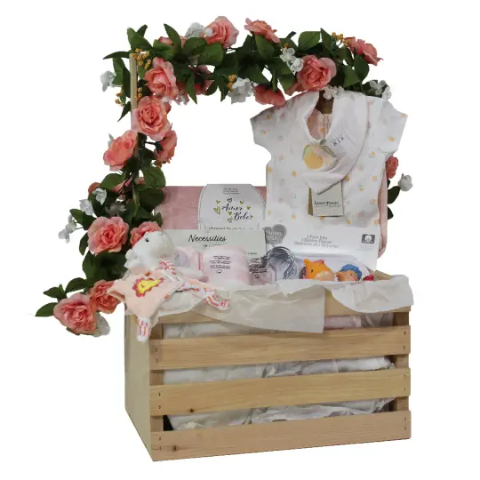 3 Stories Trading Company 29 Piece Complete Baby Shower Wardrobe Gift Crate, Girls