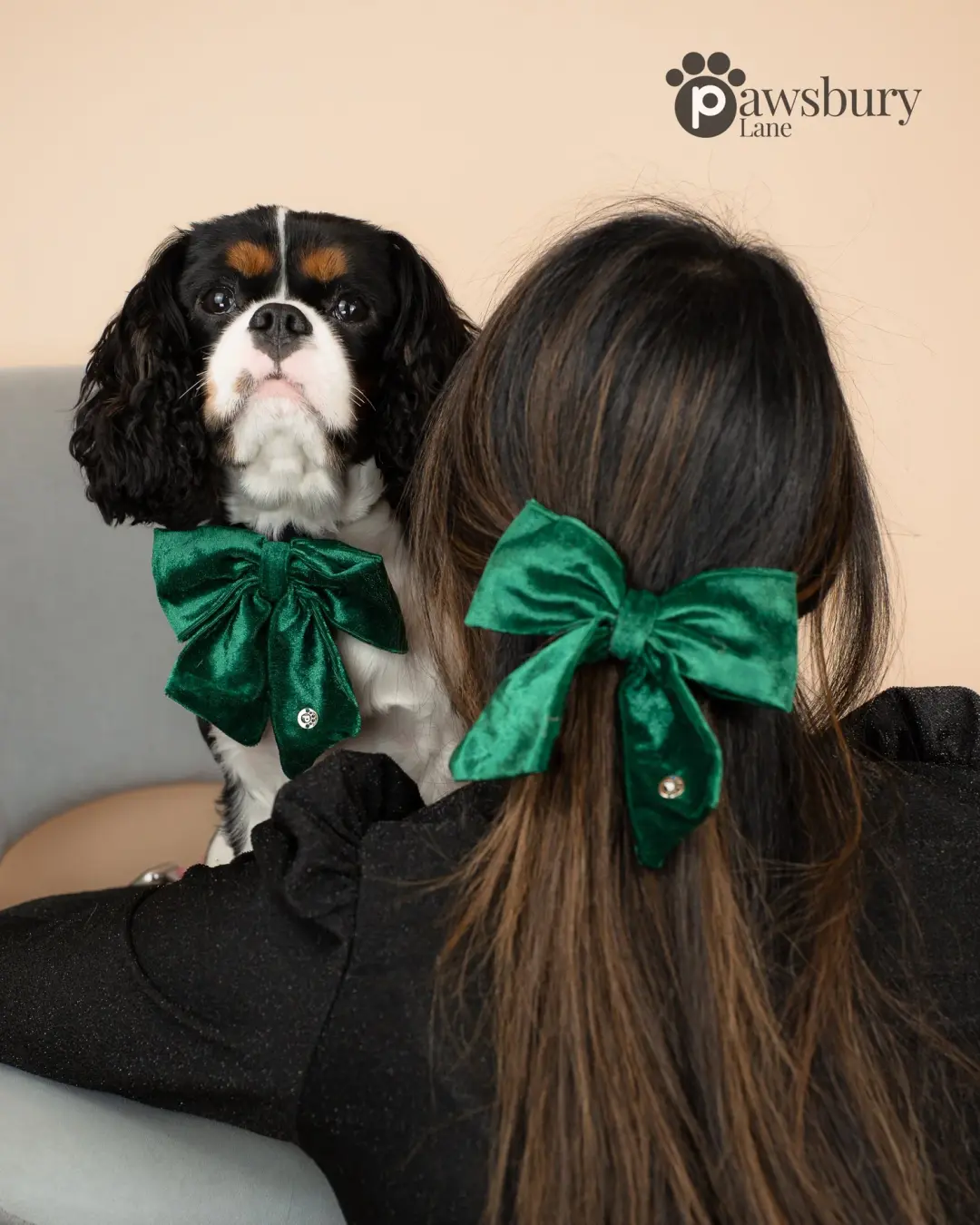 Dazzling Velvet - Green -  Human Bow Barrette and Pet Bow - Bundle & Save