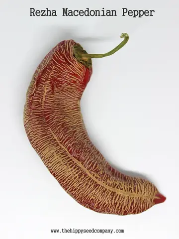 Rezha Macedonian Pepper