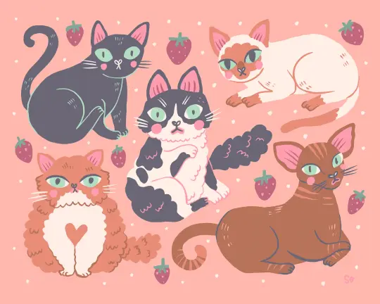 CatNap - Print