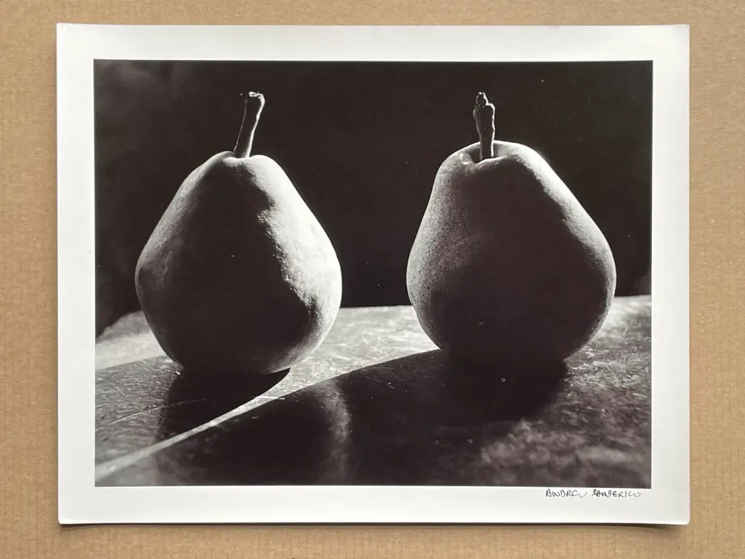 Backlit Pears.