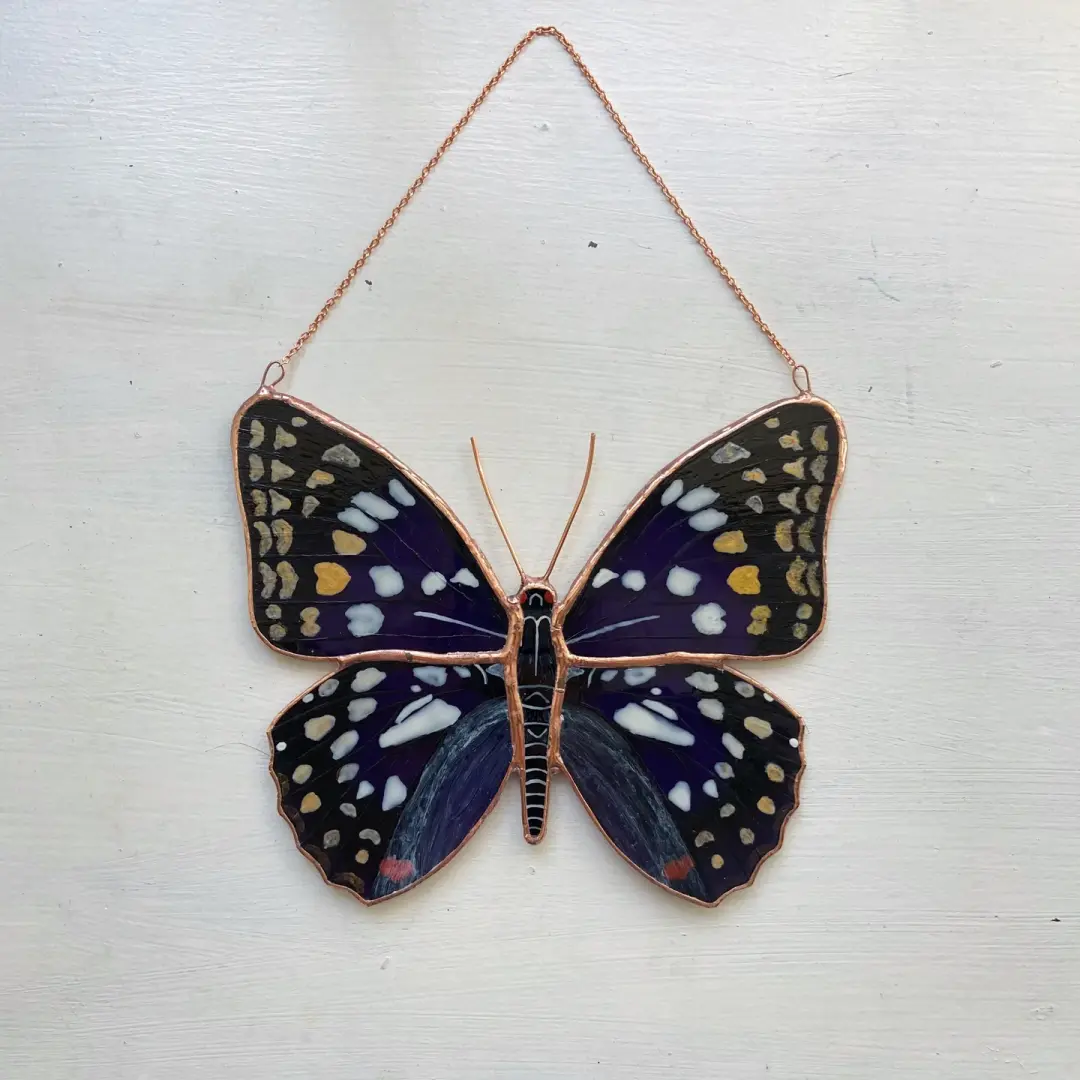 Japanese Emperor Butterfly