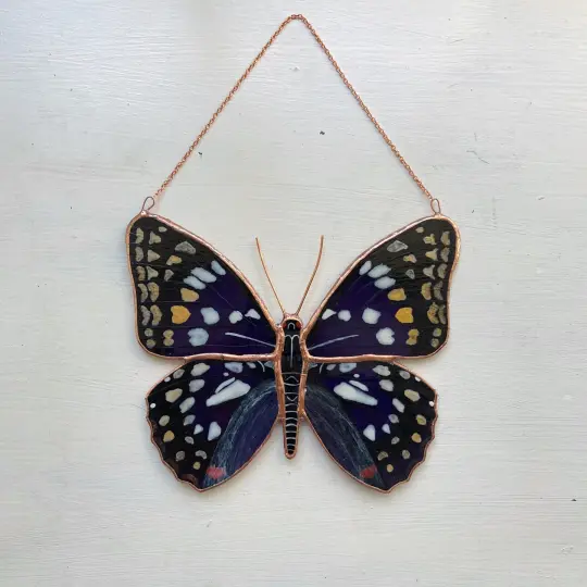 Japanese Emperor Butterfly