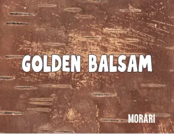 Golden Balsam - Fir Balsam Absolute, Labdanum, Flouve, Bois d'Encense, Flourmand Base