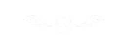 lv1 studio logo
