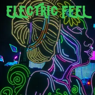 Electric Feel