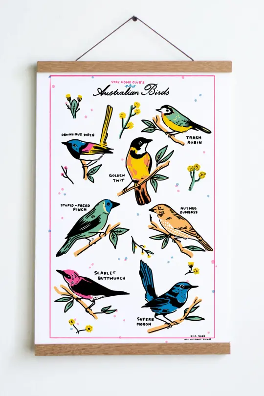 Australian Birds Print - 12" x 18"
