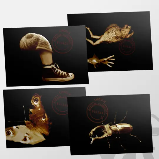 Evolution postcard set