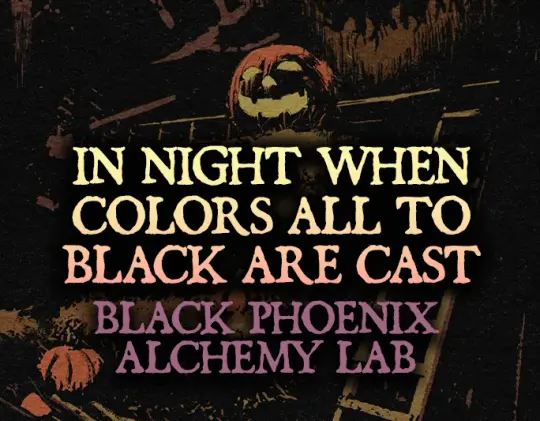 In Night When Colors all to Black are Cast 2025 Perfume Oil