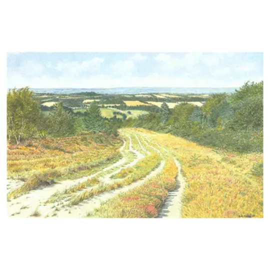 Ashdown Forest Landscape Card