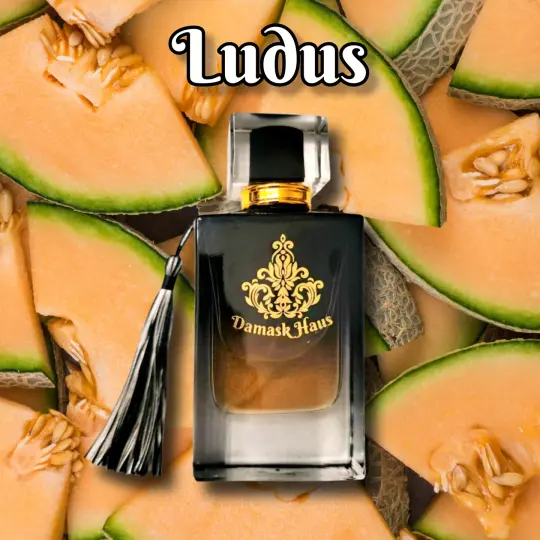 Ludus