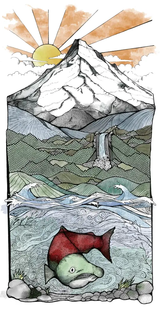 Mountain Stream