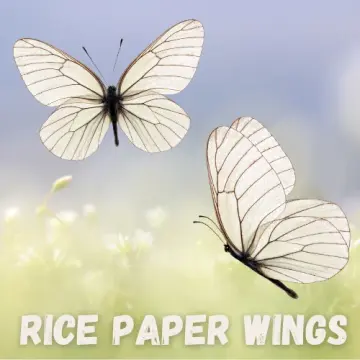 Rice Paper Wings