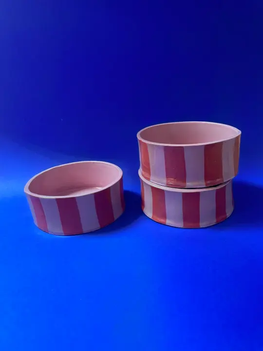 Dog Bowl Stripes