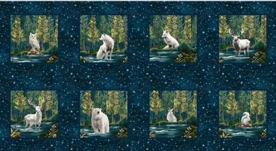 Magical Winter Woodlands