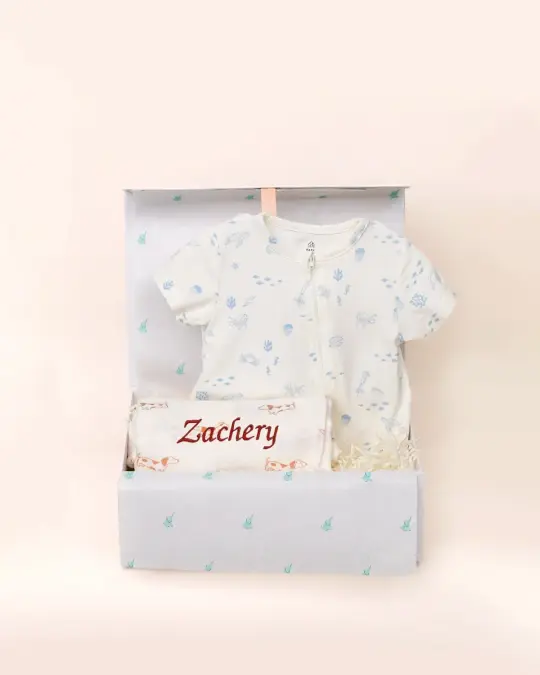 Welcome Baby Gift Set - Blue