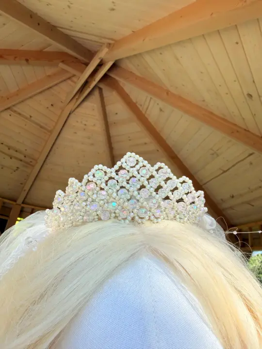 Vintage Veil with Beaded Tiara and Faux Flowers and Pearls