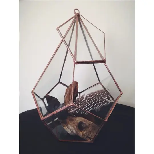 Teardrop Terrarium Kit, large hinged