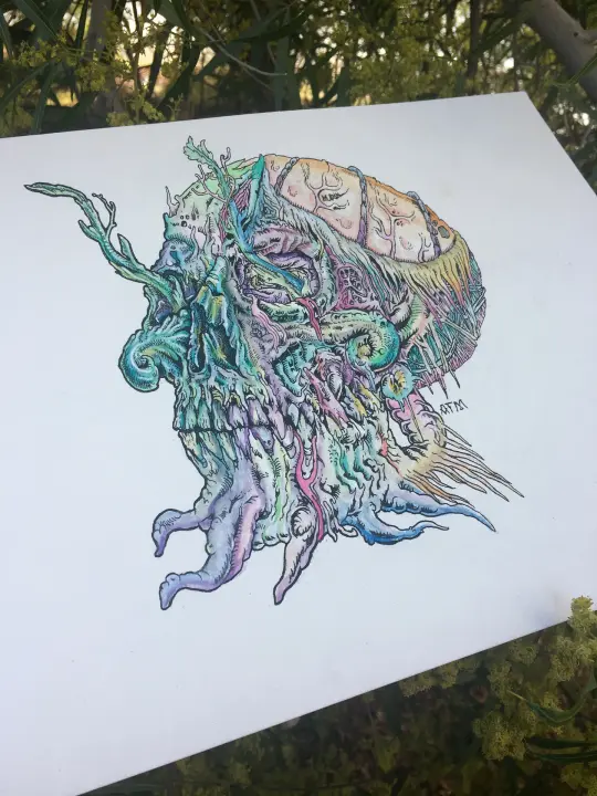 Original "Floristics" Illustration