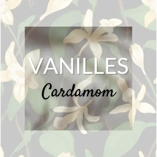 Cardamom Vanille