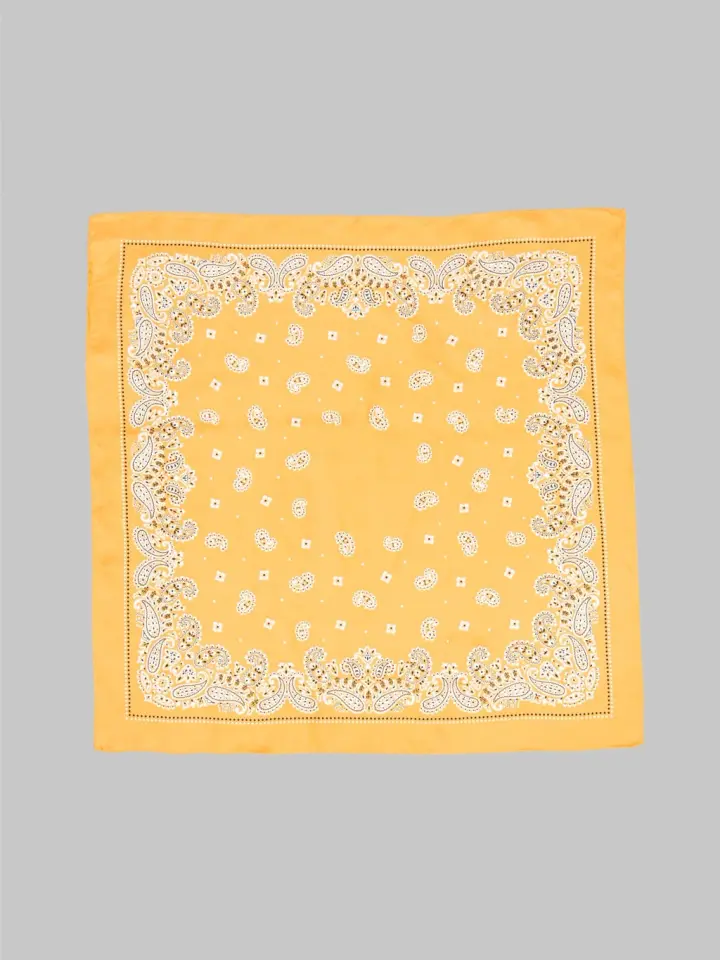 Anonymous Ism Paisley & Dots Silk Scarf Orange