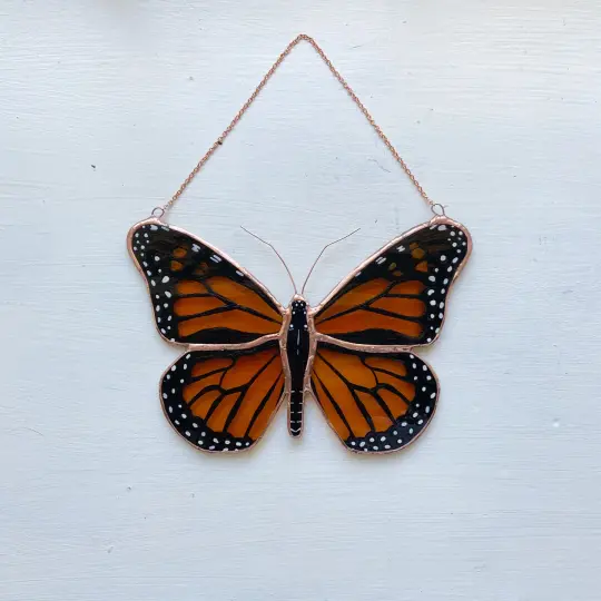Monarch Butterfly no.5