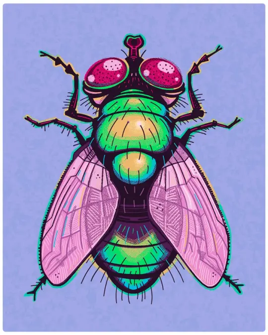 It's a Fly - Art Print