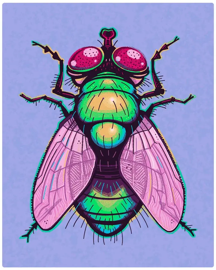 It's a Fly - Art Print
