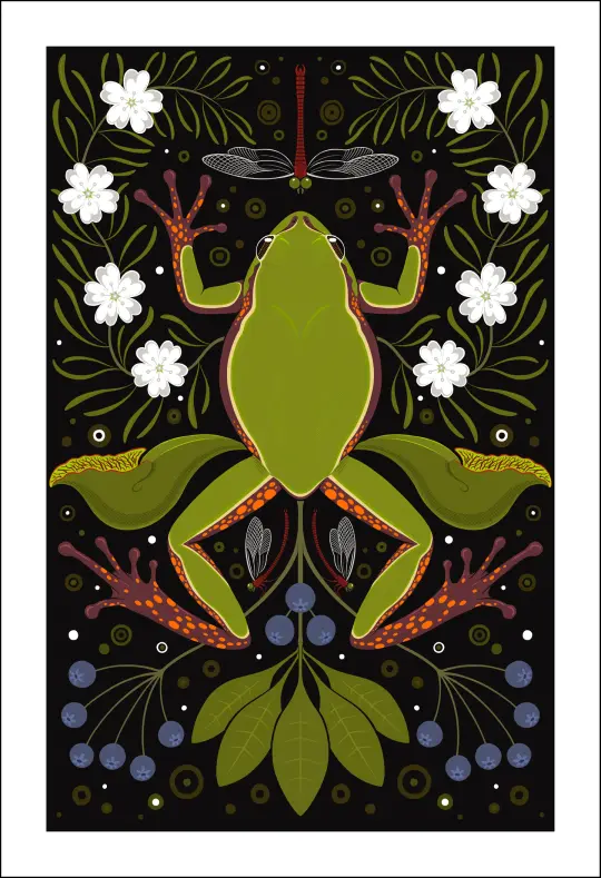 Pine Barrens Tree Frog Print