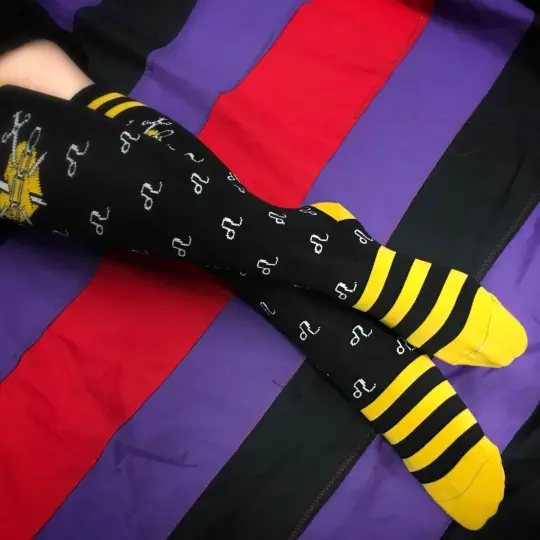 Leo Socks!