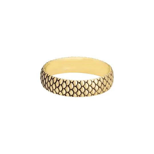 Snakeskin Band