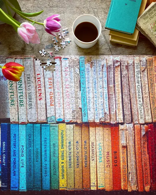 'Beryl's Books' 1000 Piece Jigsaw Puzzle