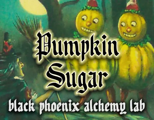 Pumpkin Sugar 2026 Perfume Oil