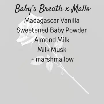 Baby's Breath x Mallo