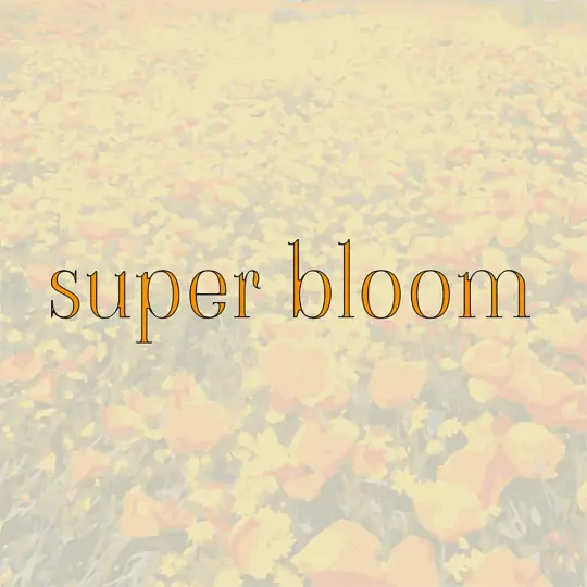 Super Bloom (B-Side)