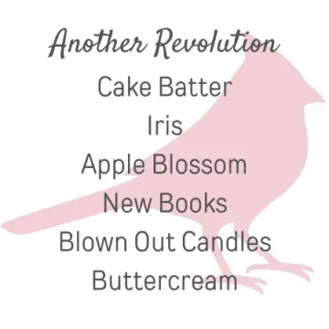 Another Revolution