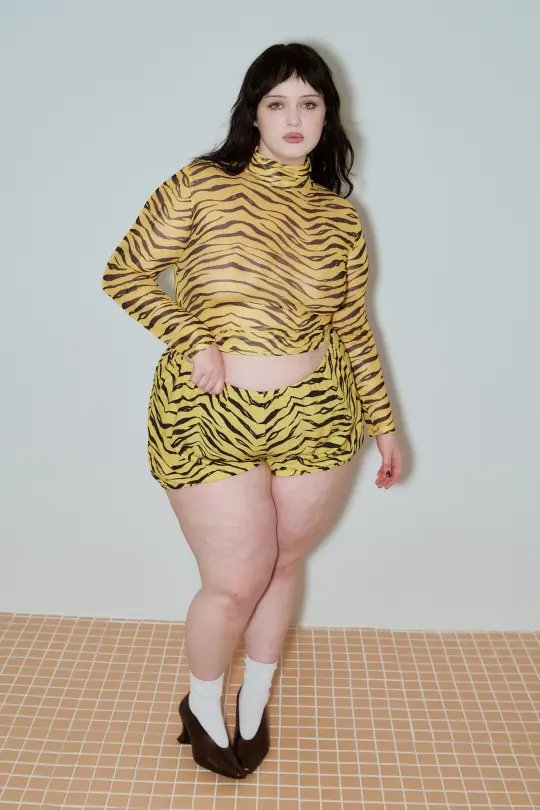 Turtleneck Mesh Long Sleeve Top Tiger Stripe