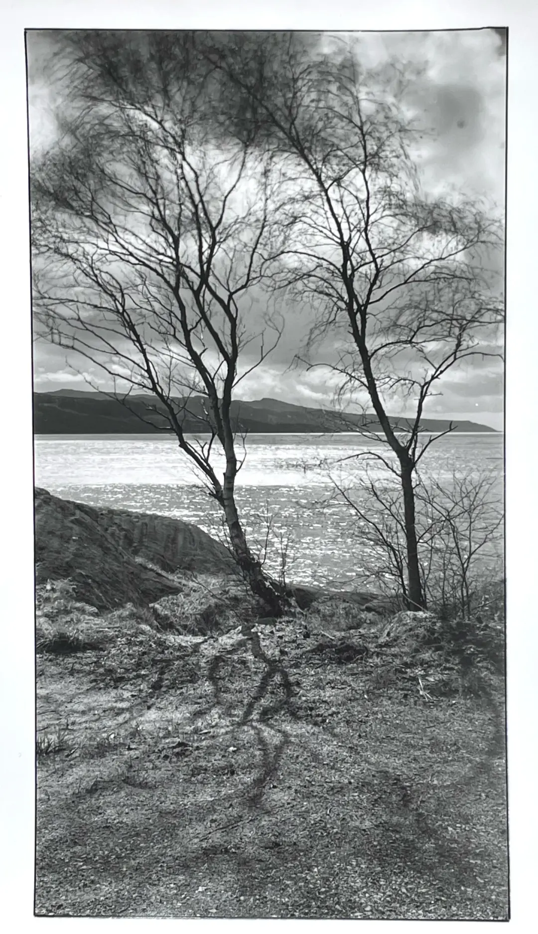 Loch Caolisport, western Scotland. Spring 2010.