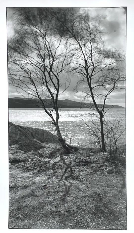 Loch Caolisport, western Scotland. Spring 2010.