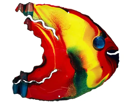 Angelfish