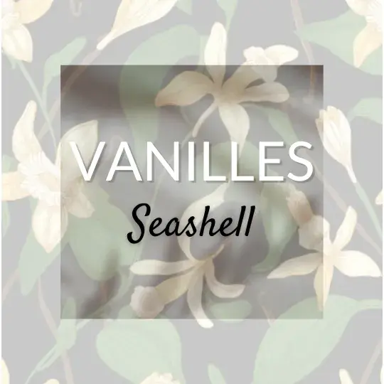 Seashell Vanille