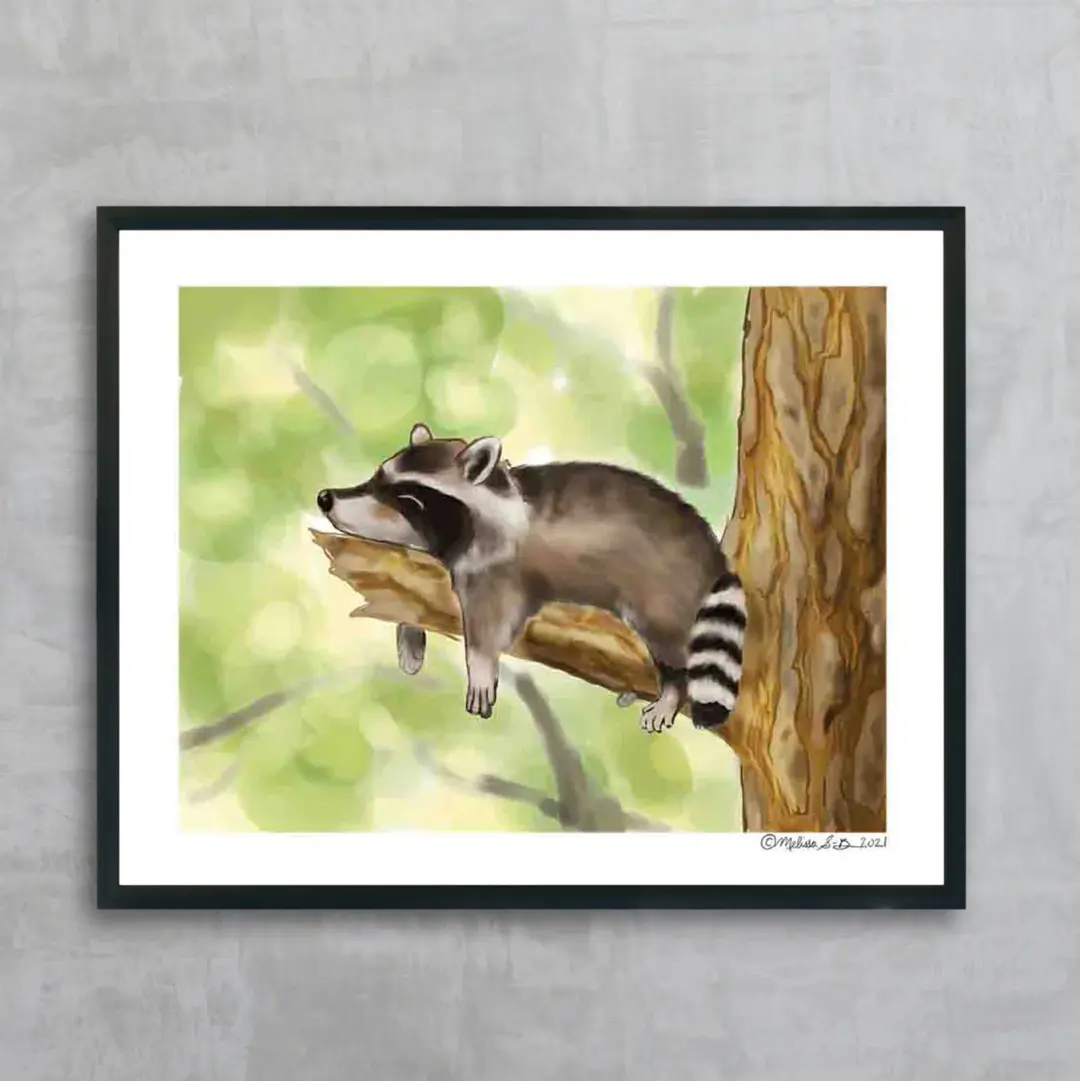 Napping Raccoon Fine Art Print